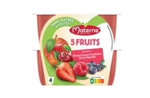 Materne® 5 FRUITS - 5 Fruits Rouges - 4x100g