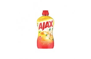 AJAX BY FÊTE DES FLEURS - AJAX EXALTANT