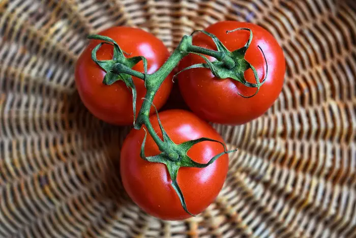 des tomates dans un panier