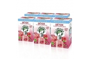 Elephant Infusion A froid Detox, Eau Froide Aromatisée, Parfums Naturels Cranberry Framboise Hibiscus, 90 Sachets Pyramid (6 Lots x 15 Sachets Individuels)