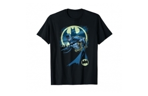 Batman Heed The Call Bat Logo T-Shirt