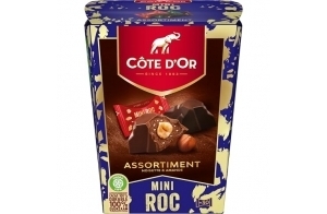 CÔTE D'OR - Mini Roc Mix - Assortiments de Chocolats - Lait, Praliné, Noir - Chocolats de Noël - Boîte à Partager ou à Offrir - Boîte d'Environ 30 Mini Rocs - 1 Boîte de 279 g