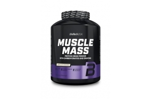 BioTechUSA Muscle Mass | Protéines et glucides en poudre | avec créatine et peptides de glutamine | Gainer | Sans lactose | Créatine micronisée | 4 kg | Vanille