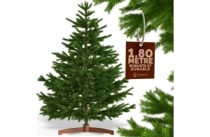 CASARIA® Sapin de Noël Artificiel Premium XL 180x110cm Support Arbre de Noël Imitation Parfaite densité Branches PE PVC Mix décoration de Noël Maison fête