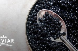 Vente Privée Caviar Chsas