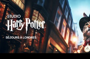 Vivez la magie de Harry Potter à Londres ! Visitez les studios emblématiques, ...