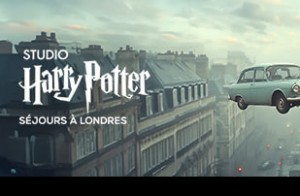 Vous rêvez de vivre une aventure ensorcelante au cœur du monde magique d'Harry...