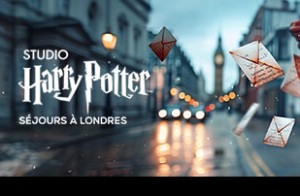 Vous rêvez de vivre une aventure au cœur du monde magique d'Harry Potter ? Dir...