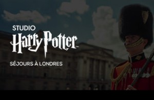 Vous rêvez de vivre une aventure ensorcelante au cœur du monde magique d'Harry...