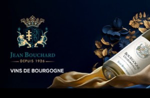 Découvrez la Bourgogne avec des vins raffinés...